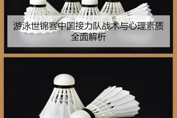 游泳世锦赛中国接力队战术与心理素质全面解析 | QMH